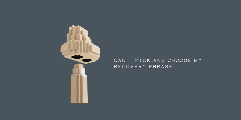 pick choose recovery phrase seed